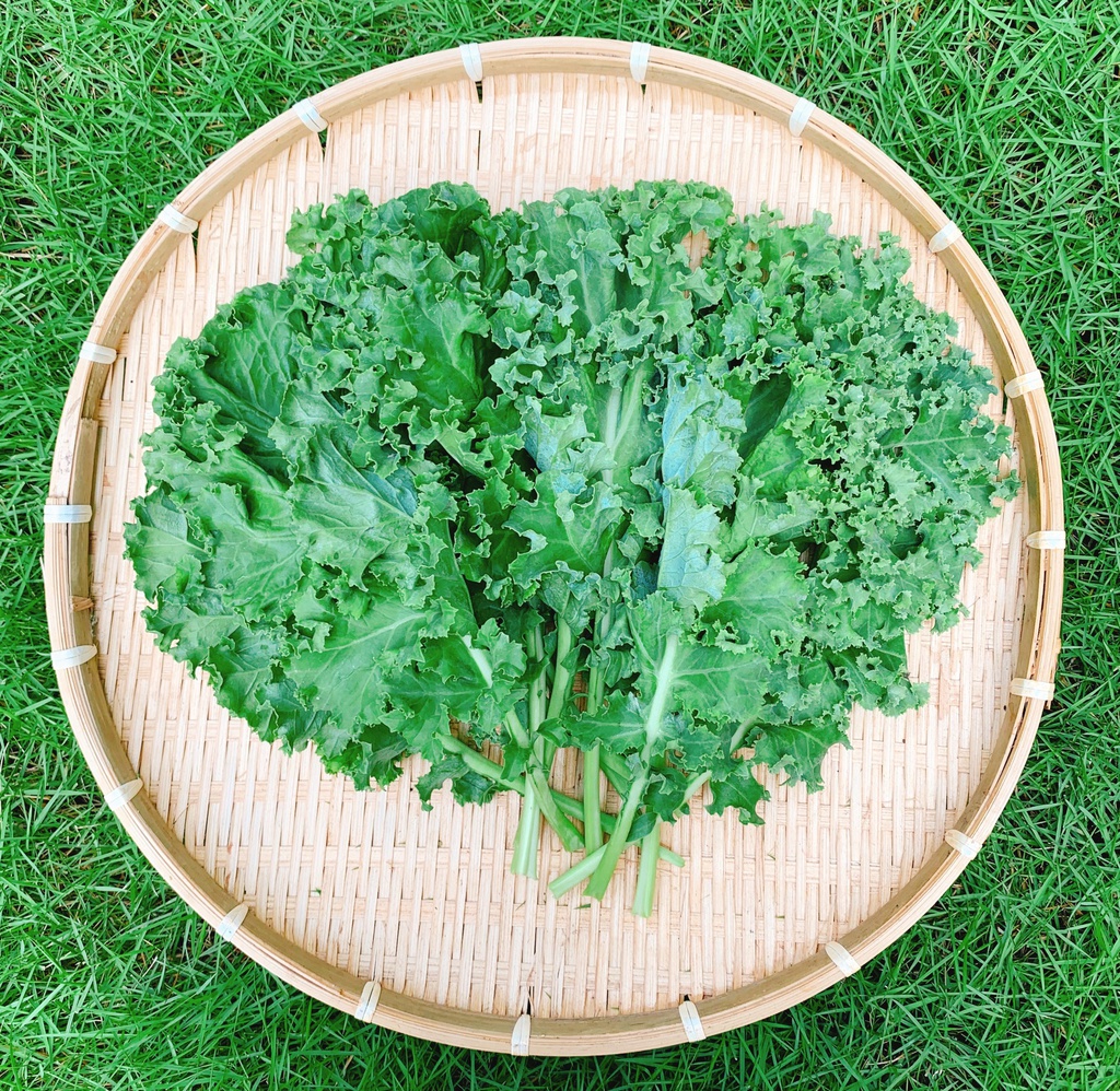 Kale (400gr/túi)