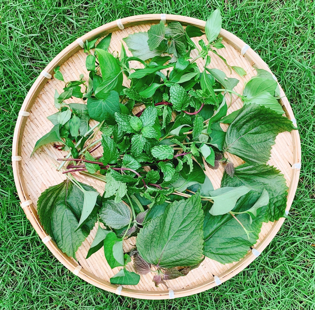 Rau thơm hỗn hợp (150gr/túi)