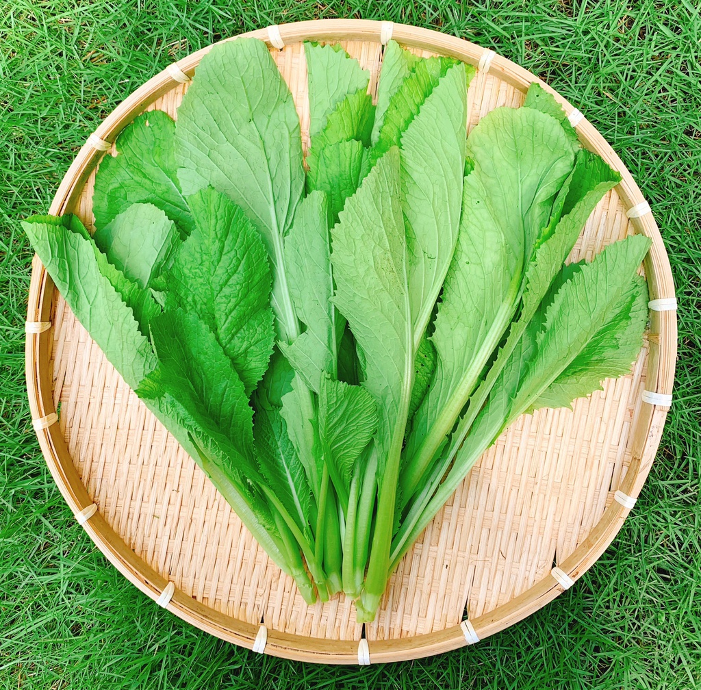 Cải Xanh (500gr/túi)