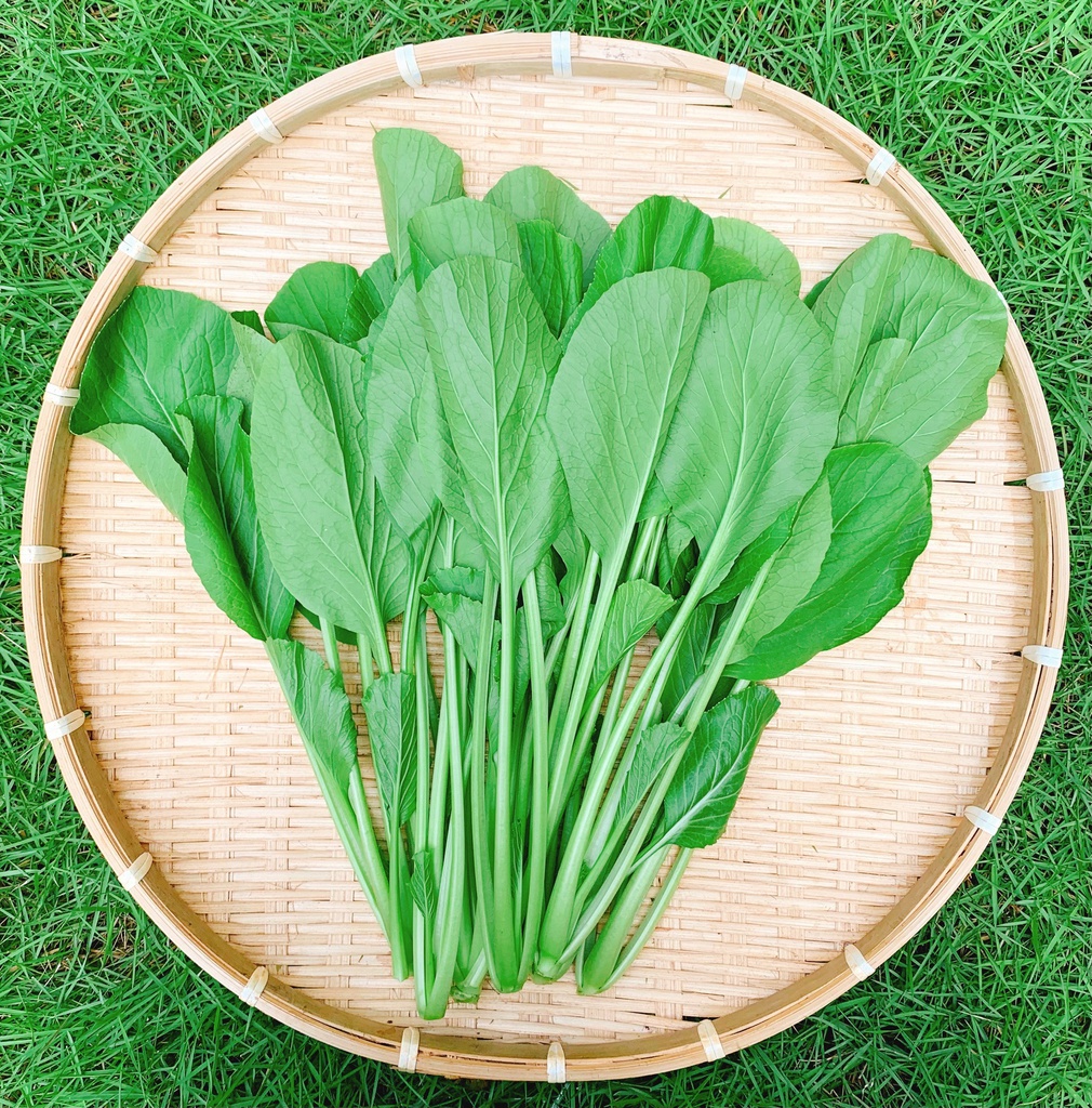 Cải Ngọt (500gr/túi)