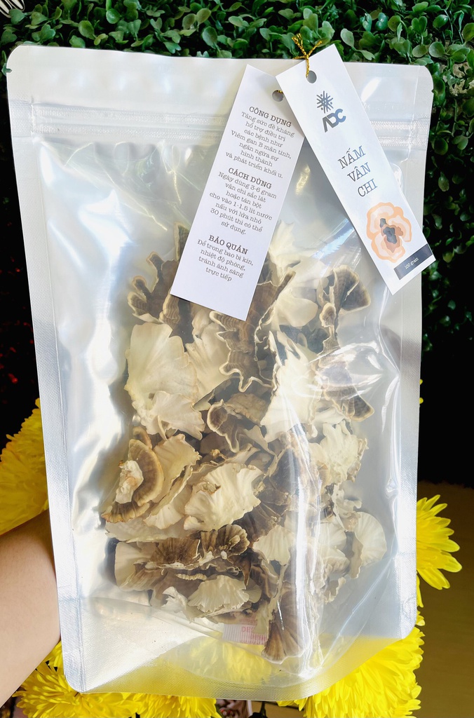 Nấm Vân Chi (100g/túi)