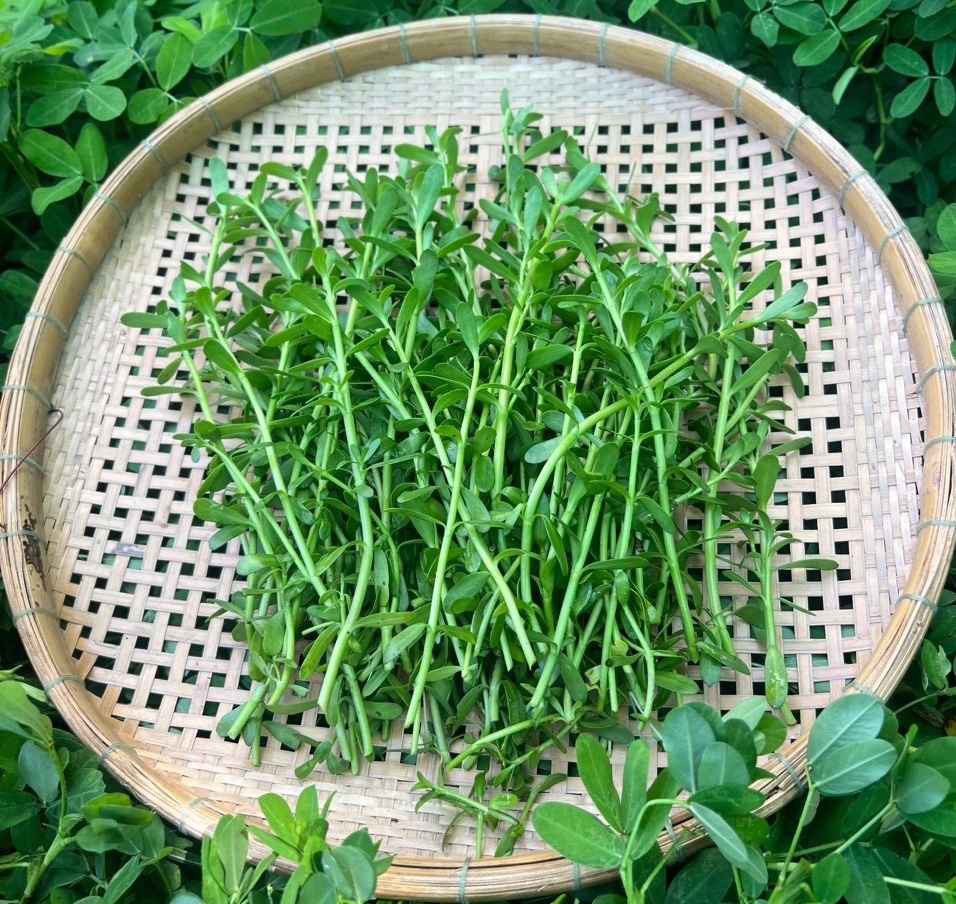 Rau Đắng (300gr/túi)