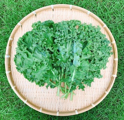 [AQF02001] Kale (400gr/túi)